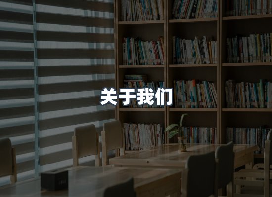专业团队